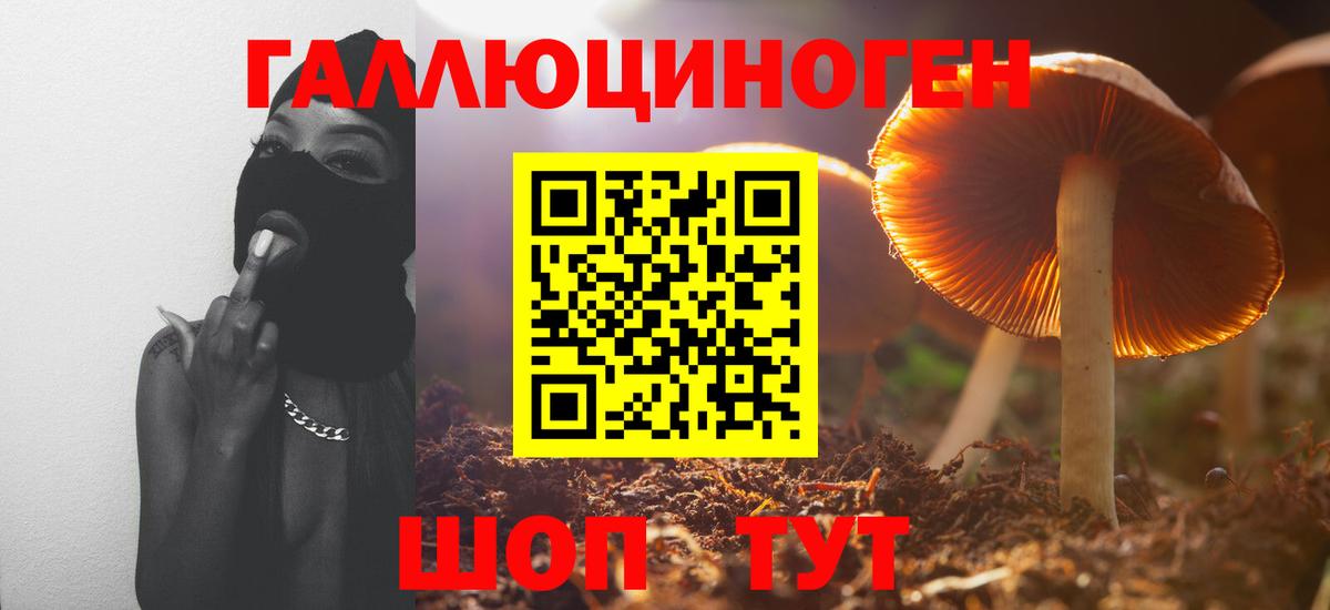 Псилоцибиновые грибы мицелий Чебаркуль